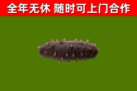 潜山市烟酒回收干海参.jpg